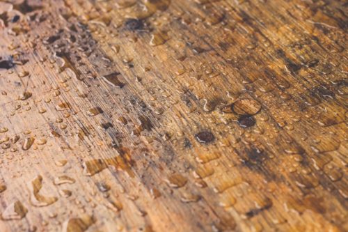 wood-water-macro-olivia-henry